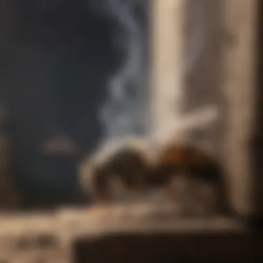 Smoke method to deter wasps