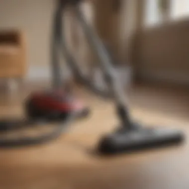 Vacuuming for Flea Removal Vacuuming for flea removal