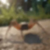 Eco-Friendly Spider Repellent