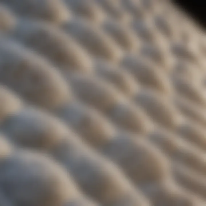 Microscopic view of mattress protector fibers