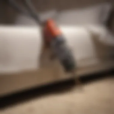 Thorough Vacuuming to Remove Bed Bugs Vacuuming for Bed Bug Control