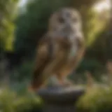 Elegant Garden Owl Decoy