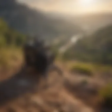 Scenic Mountain Landscape with Pest Control Techniques