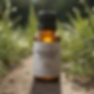 Essential Oil Blend for Natural Pest Control Natural Yard Treatment for Fleas and Ticks - Essential Oil Blend