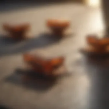 DIY Flea Traps with Essential Oils