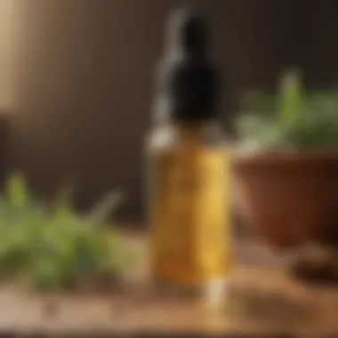 Creating Essential Oil Repellent Blend Essential Oil Repellent Blend