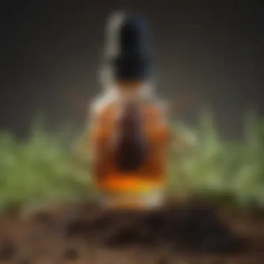 Aromatherapy Approach to Chigger Removal Essential Oils for Chigger Control