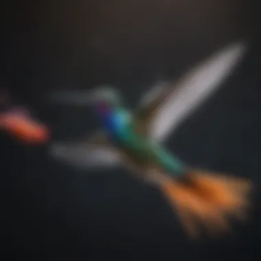 Iridescent Feathers in Flight Ethereal Hummingbird hovering mid-air with iridescent feathers