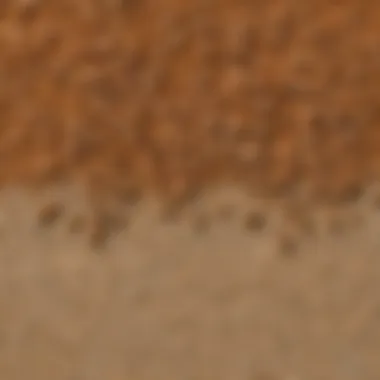 Comparative Analysis of Termite Control Solutions Comparison chart of various termite control methods