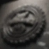 Evans Pest Control Logo