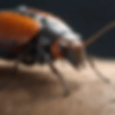 Case Studies on Bug Tracking Efficiency Case studies on bug tracking efficiency