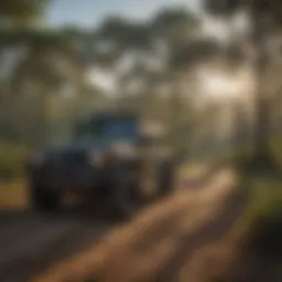 Scenic landscape of Ocala, Florida showcasing dense forests and open fields