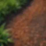 Colorful variety of bug resistant mulch materials displayed in a garden