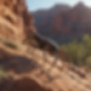 Majestic Scorpion in its Natural Environment Scorpion in natural habitat