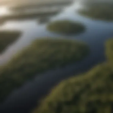 Aerial view of the Amazon rainforest showcasing the intricate delta formations.