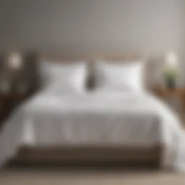 Serene Bedroom with Mattress Cover A serene bedroom setting featuring a dust mite mattress cover on a neatly made bed