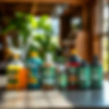 Eco-friendly pest management products displayed on a table