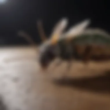Precision in Pest Elimination