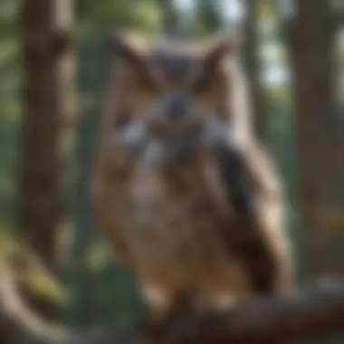 Majestic owl perched on a branch