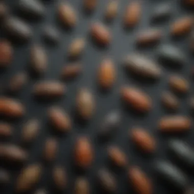 Illustration depicting various types of pests