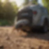 Natural Pest Control Methods