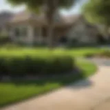 Lush green lawn after TruGreen treatment in Canton