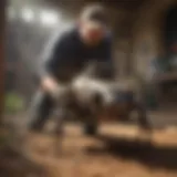 Dynamic Exterminator at Work Exterminator in action