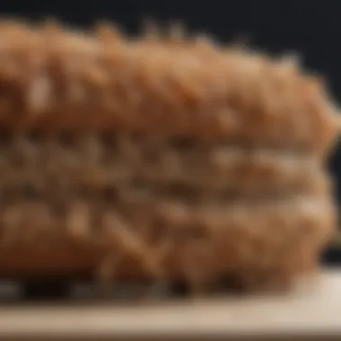 Macro view of termite mandibles crafting complex structures