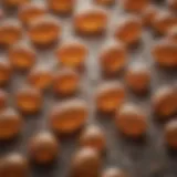 Delicate Stage of Flea Eggs Illustration depicting flea eggs in a delicate stage of development