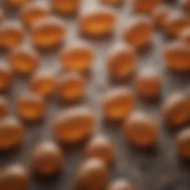 Delicate Stage of Flea Eggs Illustration depicting flea eggs in a delicate stage of development