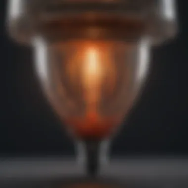 Illustration of flea trap bulb structure