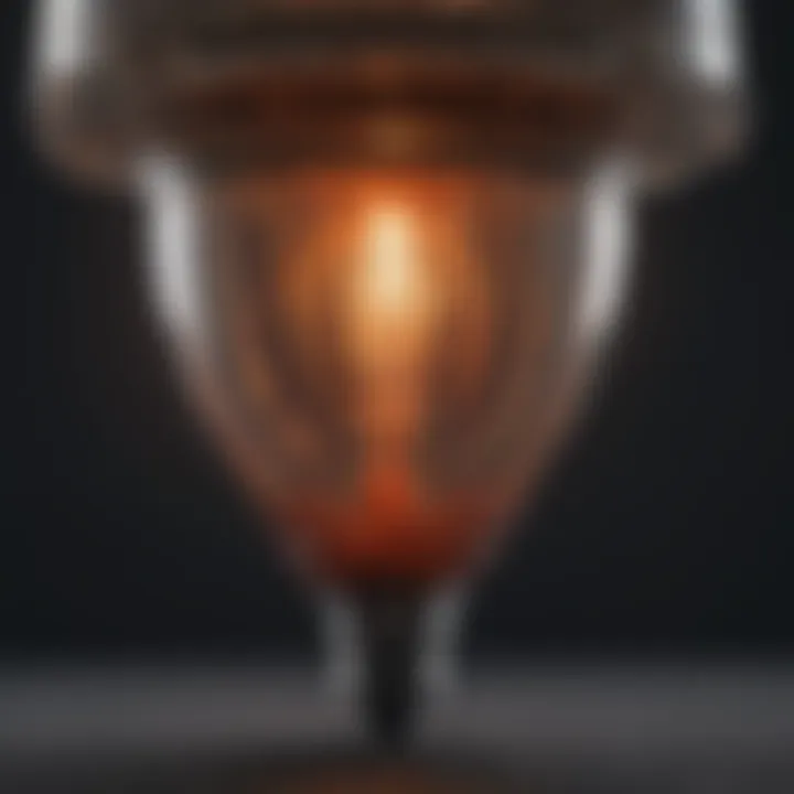 Illustration of flea trap bulb structure