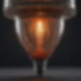 Flea Trap Bulb Structure Illustration of flea trap bulb structure