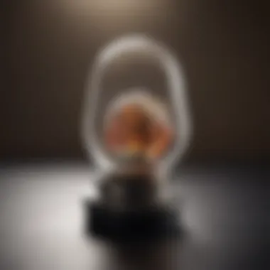 Illustration showcasing practical tips for using flea trap bulbs