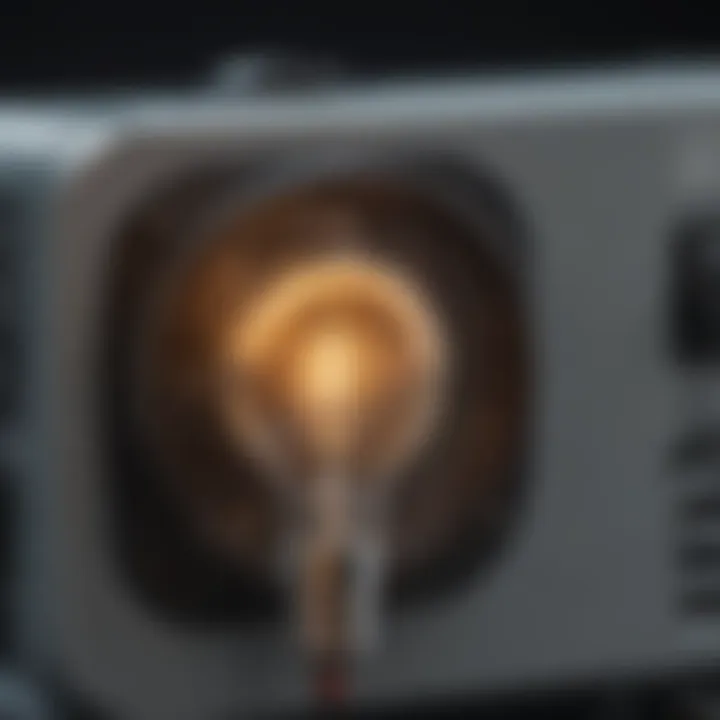 Close-up of the electric grid and lamp in a Flowtron zapper