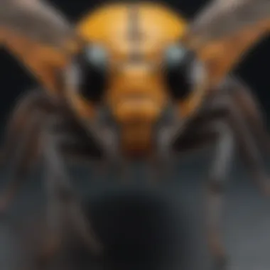 Visual database interface displaying various insects