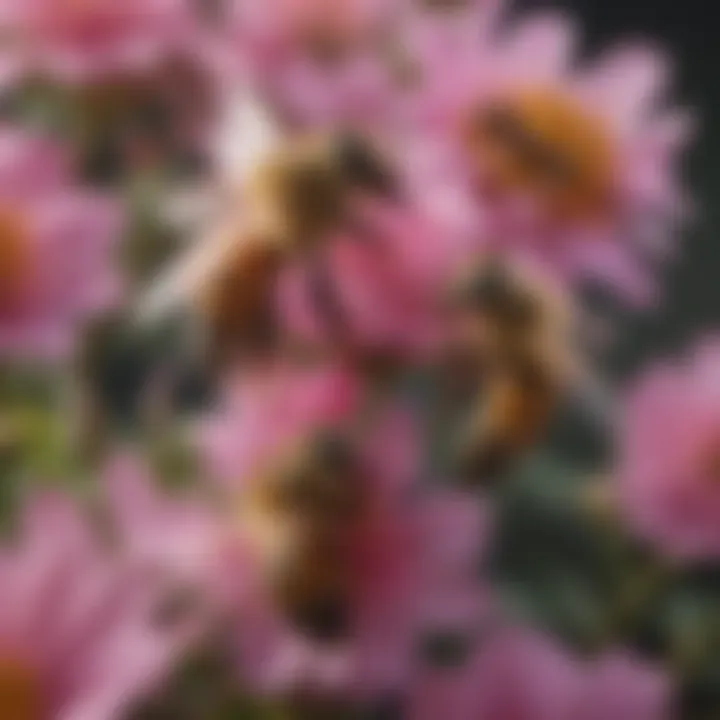 A close-up of honey bees on a flower, showcasing their role in pollination.