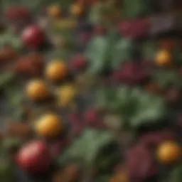 Botanical Ingredients in Fresh Cab