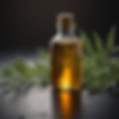 Neem Oil: A Powerful Natural Insecticide Organic neem oil natural insecticide product