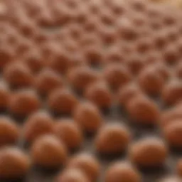 Detailed close-up of hatched bed bug eggs under a microscope