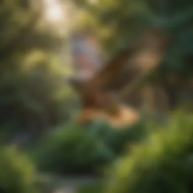 A flying hawk decoy hovering above a lush green garden