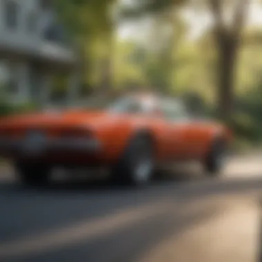 Healthy environment maintained through pest control in Charlotte