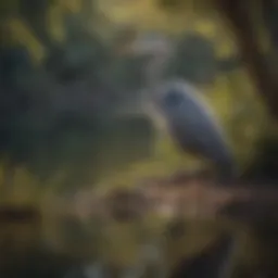 Majestic heron standing near a lake