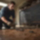Professional pest control technician inspecting infestation