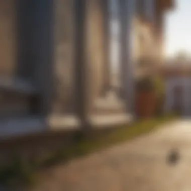 Home Exterior Pest Prevention