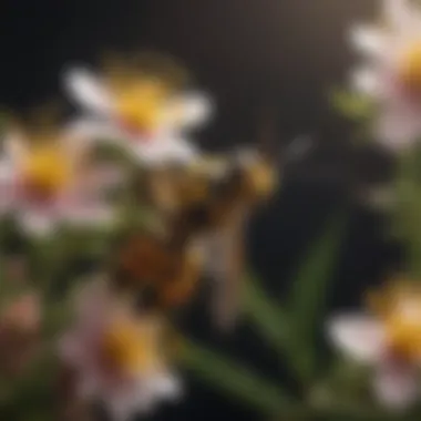Eco-Friendly Pollination by the Houston Wasp Houston wasp pollinating flowers