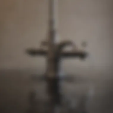 Hygienic Plumbing Environment