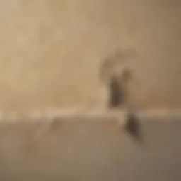 Damaged Stucco Wall Showing Water Infiltration