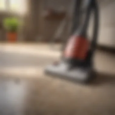 Regular Vacuuming and Cleaning Routines Indoor Cleaning Tips