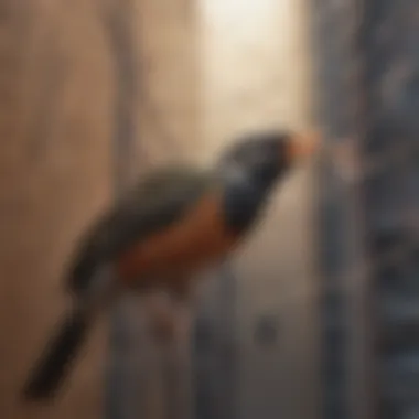 Innovative method using bird netting for removal